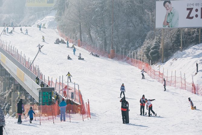 Private Ski Tour(Lesson) near Seoul at Elysian Gangchon Resort - Is $228 a fair price?