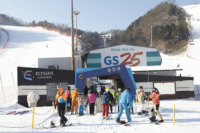 Private Ski Tour(Lesson) near Seoul at Elysian Gangchon Resort - Who should book this ski day?