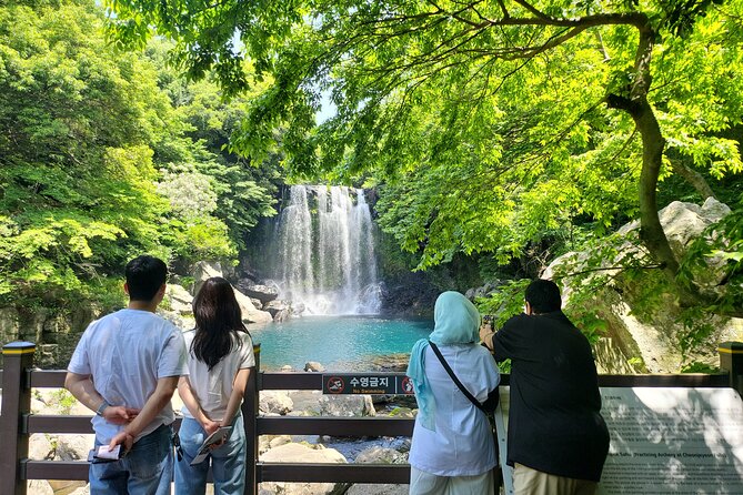 Private Tour Cheonjeyeon Falls & Spirited Garden in Jeju Island - Key points to know before booking