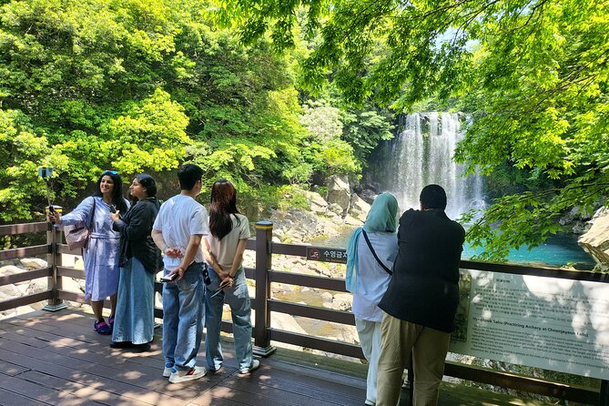 Private Tour Cheonjeyeon Falls & Spirited Garden in Jeju Island - Why this private Jeju route works