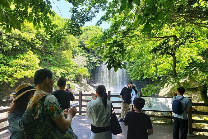 Private Tour Cheonjeyeon Falls & Spirited Garden in Jeju Island - O’sulloc Tea Museum and the green fields
