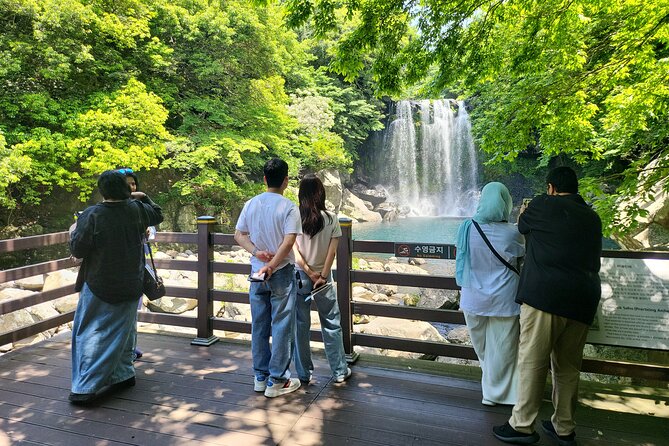 Private Tour Cheonjeyeon Falls & Spirited Garden in Jeju Island - What the private taxi service adds