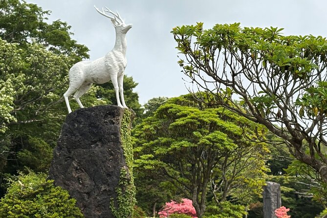 Private Tour in South Jeju including Yacht Cruise - Is $215 a person good value?
