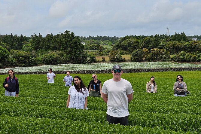 Private Tour in West Jeju Island with Transfer - Why a private taxi works well on West Jeju
