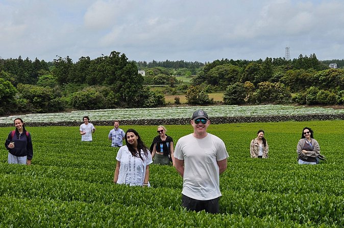 Private Tour in West Jeju Island with Transfer - Yongmeori Beach and the Dragon Head Coast