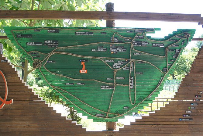 Private Tour: Nami Island& (Alpaca World 'or' Morning Calm)&Lunch - The Garden of Morning Calm for flowers and design