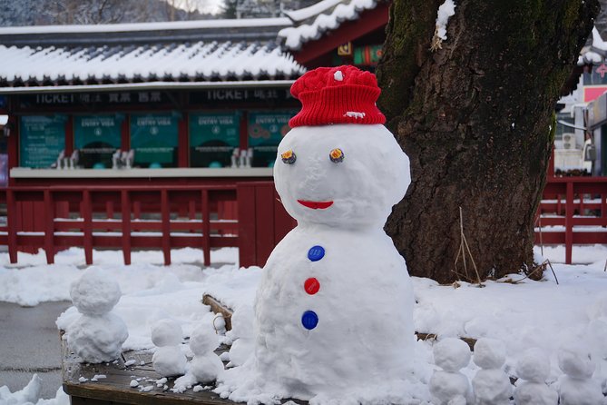 Private Tour: Nami Island& (Alpaca World 'or' Morning Calm)&Lunch - Who will get the most from this tour