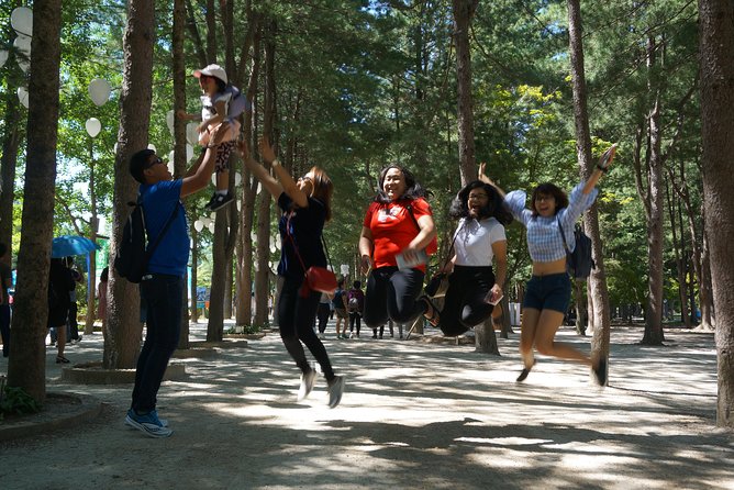 Private Tour: Nami Island& (Alpaca World 'or' Morning Calm)&Lunch - Nami Island and its tree-lined roads