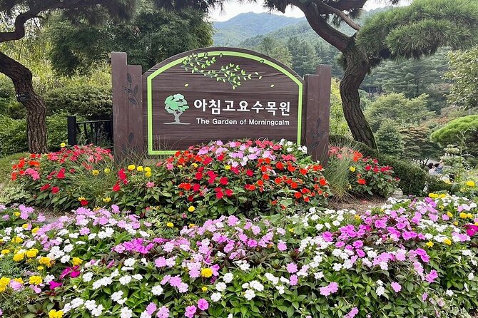 [Private Tour] Nami Island+Morning calm Garden+Petite France - A full nine-hour schedule without the usual transport fuss