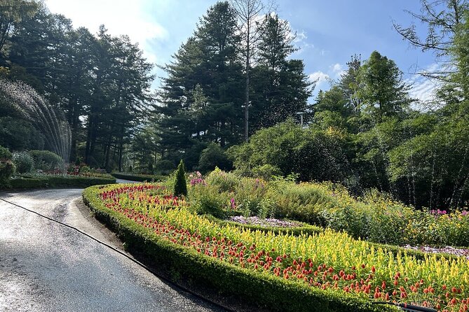 [Private Tour] Nami Island+Morning calm Garden+Petite France - What the $174.49 price really covers