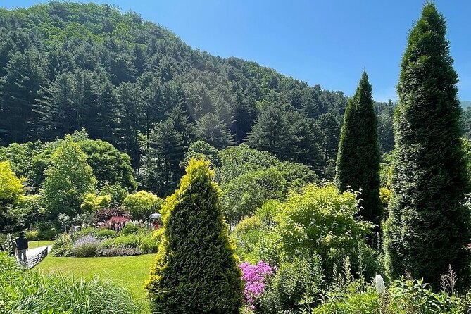 [Private Tour] Nami Island+Morning calm Garden+Petite France - Should you book this private Nami Island tour?
