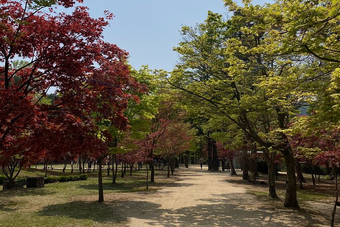[Private Tour] Nami Island+Morning calm Garden+Petite France - Petite France brings a storybook change of pace