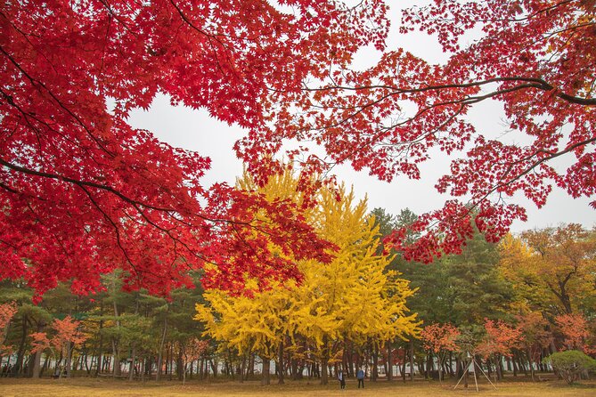 (Private tour) Nami Island + Railbike + Garden of morning calm - Why this private Seoul day trip works