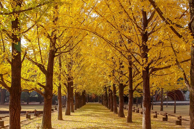 (Private tour) Nami Island + Railbike + Garden of morning calm - What the $260 price really covers