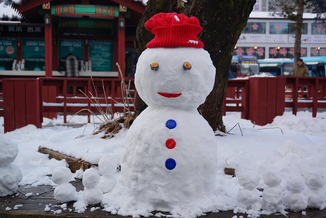 [Private Tour] Nami Island & Ski (Ski Lesson, Equip & Clothing Included) - Why this private Seoul day trip works