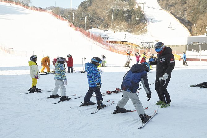 [Private Tour] Nami Island & Ski (Ski Lesson, Equip & Clothing Included) - Korean chicken for lunch, with one important catch