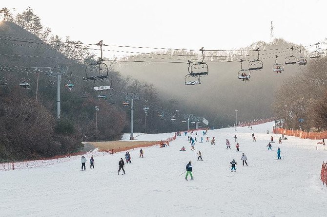 [Private Tour] Nami Island & Ski (Ski Lesson, Equip & Clothing Included) - Ski instruction for beginners