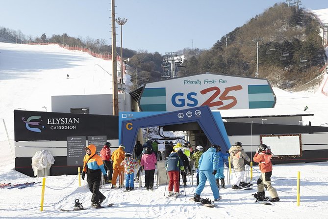[Private Tour] Nami Island & Ski (Ski Lesson, Equip & Clothing Included) - Sledding and snow viewing for non-skiers