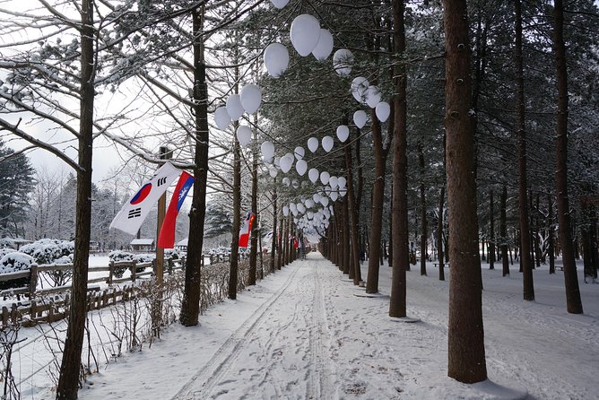 [Private Tour] Nami Island & Ski (Ski Lesson, Equip & Clothing Included) - A guide who adds more than directions