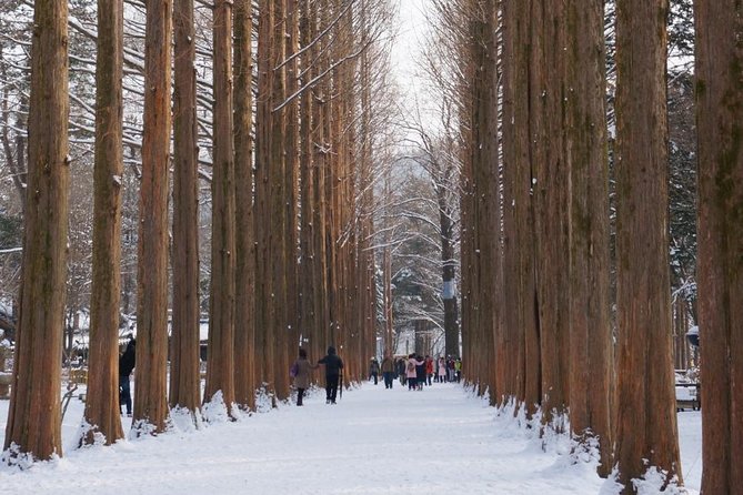 [Private Tour] Nami Island & Ski (Ski Lesson, Equip & Clothing Included) - What the $244 price really covers