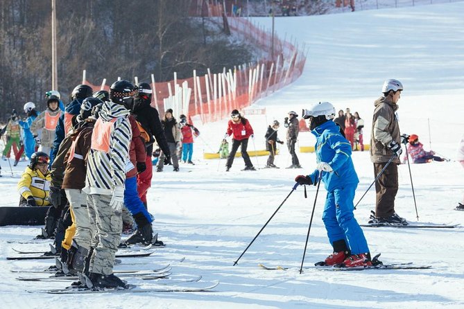 [Private Tour] Nami Island & Ski (Ski Lesson, Equip & Clothing Included) - Leaving Seoul with a private driver