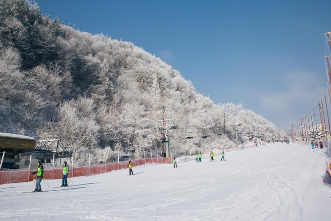[Private Tour] Nami Island & Snow Viewing and Snow sled (More Members Less Cost) - One long day beyond Seoul