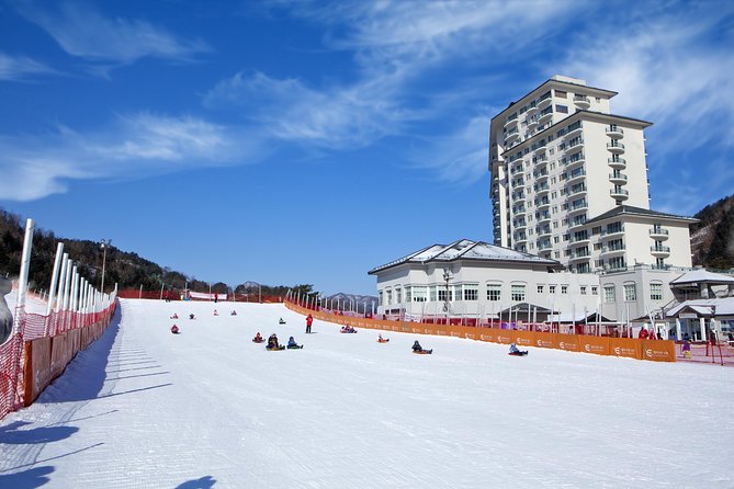 [Private Tour] Nami Island & Snow Viewing and Snow sled (More Members Less Cost) - Five hours at Elysian Gangchon