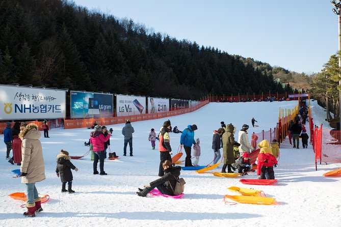 [Private Tour] Nami Island & Snow Viewing and Snow sled (More Members Less Cost) - A private guide, not a large bus tour
