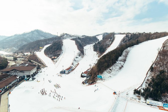 [Private Tour] Nami Island & Snow Viewing and Snow sled (More Members Less Cost) - Winter clothing can make or break the day