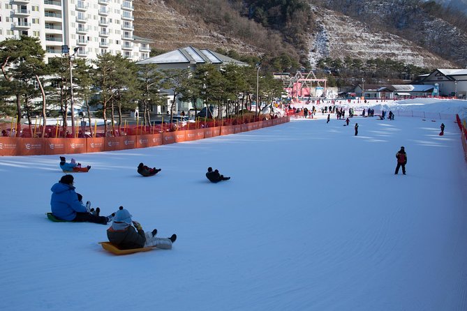 [Private Tour] Nami Island & Snow Viewing and Snow sled (More Members Less Cost) - Leaving Seoul by private vehicle