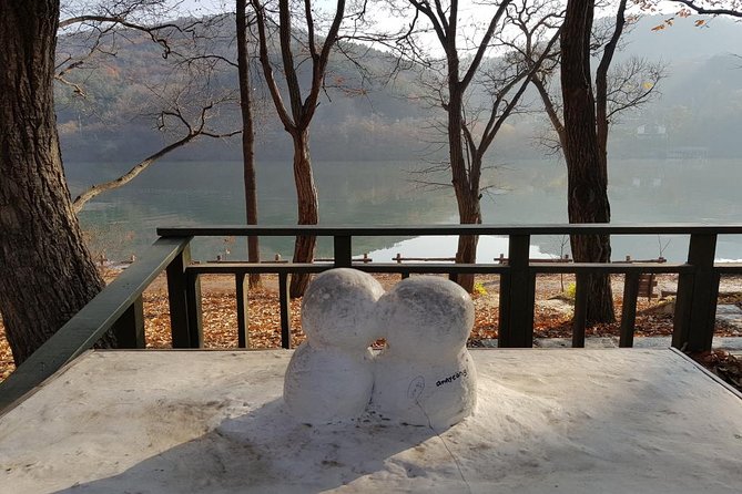 Private Tour Nami Island with Petite France 'and/or' The Garden of Morning Calm - What the $192 Price Really Buys