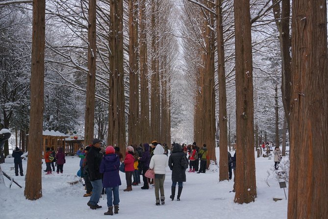 Private Tour Nami Island with Petite France 'and/or' The Garden of Morning Calm - Nami Island: Four Hours Among Trees and K-Drama Memories