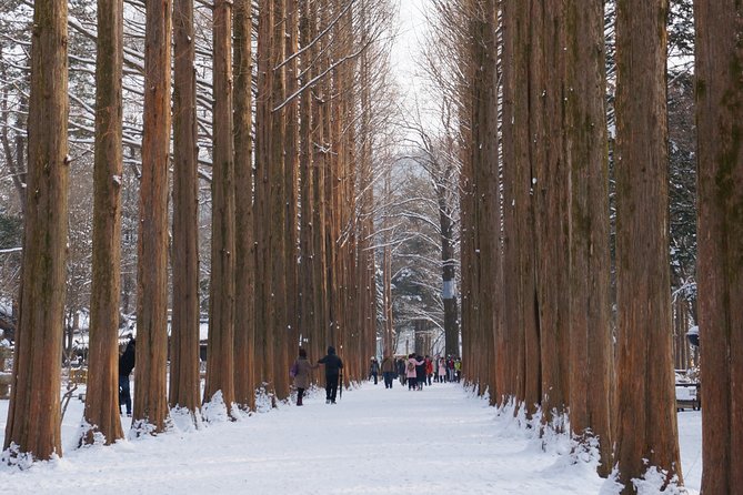 [Private Tour] Organic Strawberry Farm & Nami Island & Petite France - What the private vehicle adds