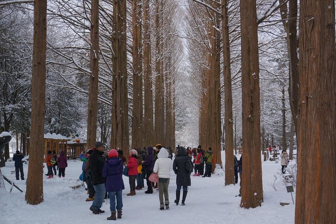 Private Tour Rail Bike & Nami Island & (Petite France or Garden of Morning Calm) - Why the private format matters outside Seoul