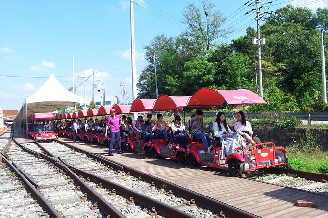 Private Tour Rail Bike & Nami Island & (Petite France or Garden of Morning Calm) - Food, timing, and the small print