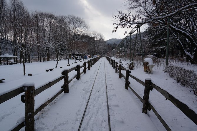 Private Tour Rail Bike & Nami Island & (Petite France or Garden of Morning Calm) - Who should book this day trip?
