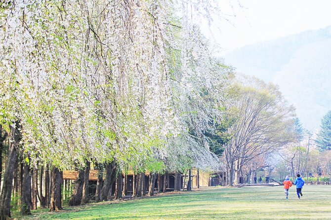 Private Tour to Alpaca world &Nami Island& Railbike with Tickets - Pedaling the former railway at Gangchon