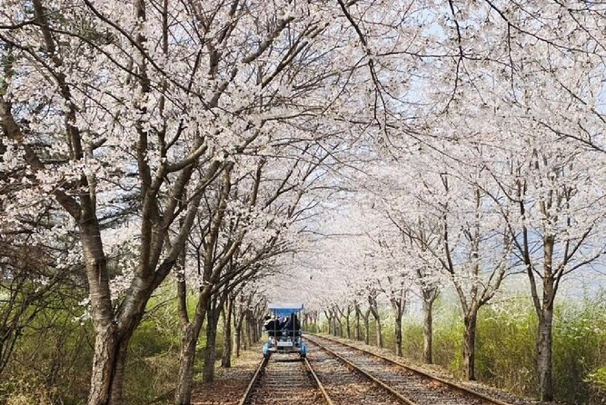 Private Tour to Alpaca world &Nami Island& Railbike with Tickets - What the private van changes
