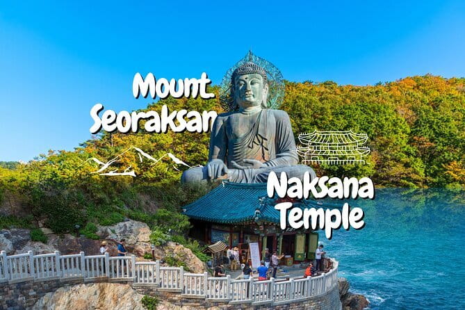 Private transport for 1 day Seoul tour - The open hour: your chance to replace a stop