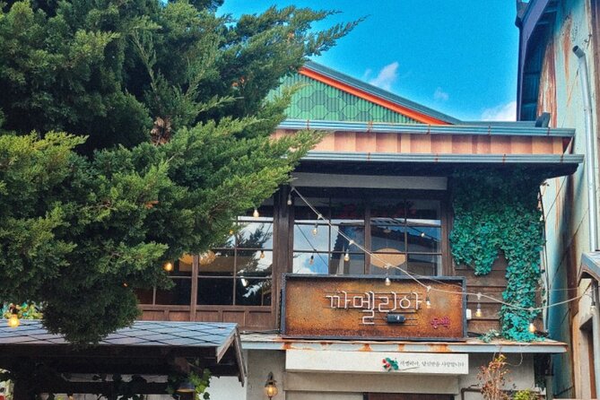 Quick Healing: 1-Day Beauty & Medial Tourism in Busan - The Value of a Private Driver and Guide