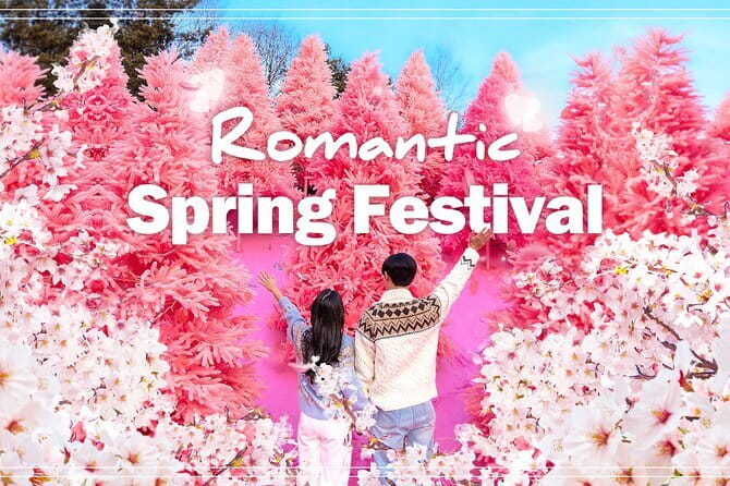 Romantic tour : Cherry blossom days in spring from Seoul - Key points to know before you book