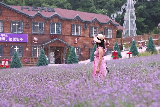 Romantic tour : Cherry blossom days in spring from Seoul - Why this day trip works for flower lovers
