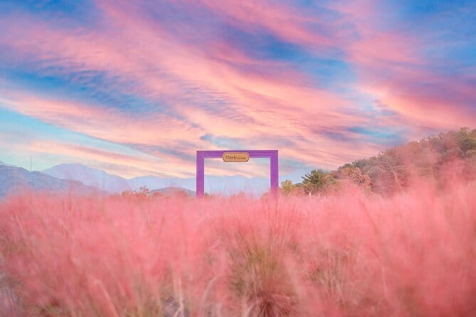 Romantic tour : Cherry blossom days in spring from Seoul - Herb Island, pink sand and lavender for 90 minutes