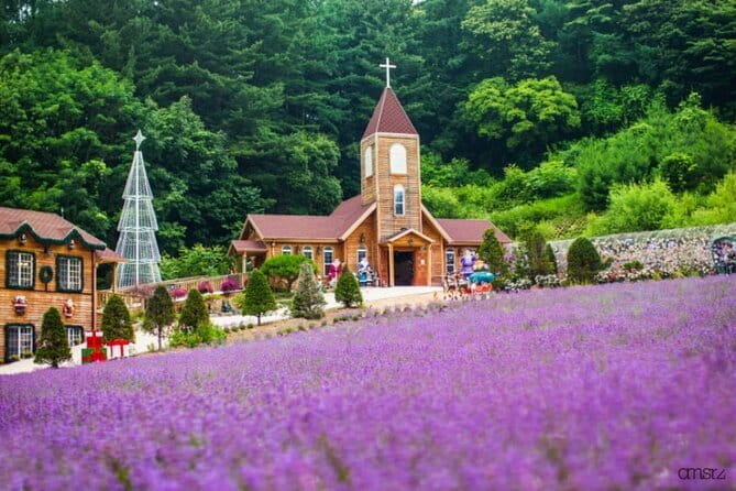 Romantic tour : Cherry blossom days in spring from Seoul - How the seasonal schedule changes the experience