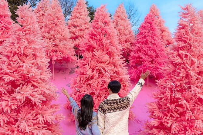 Romantic tour : Cherry blossom days in spring from Seoul - The Y-shaped Suspension Bridge and Hantan River views