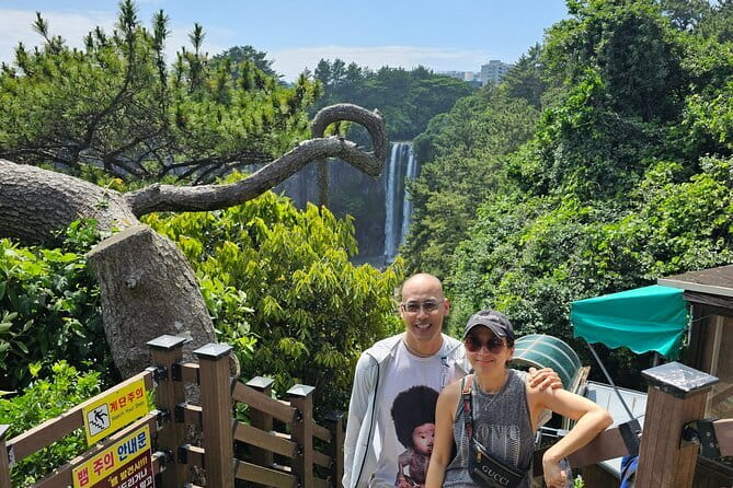 Round Trip Private Transport to Jeju Stone Park - The Driver Service and Personal Care