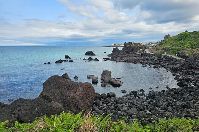 Round Trip Private Transport to Jeju Stone Park - Who Will Get the Most From This Experience