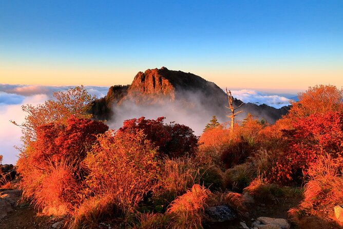 Scenic Jiri Mountain Autumn Foliage One Day Tour from Busan - Key points to know before you book