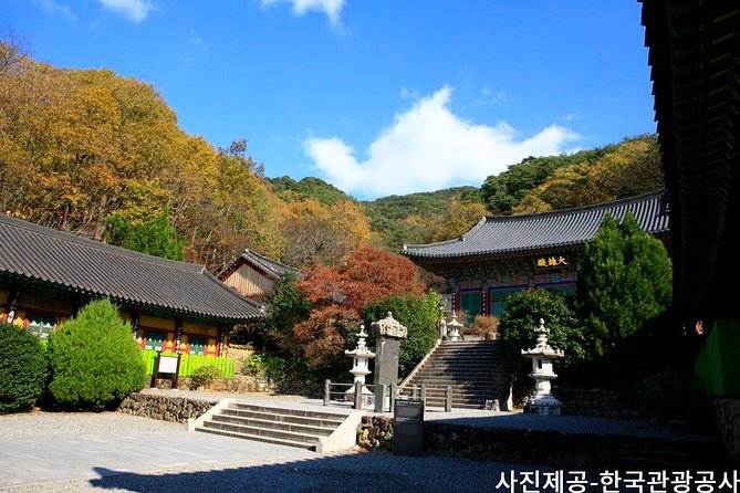 Scenic Jiri Mountain Autumn Foliage One Day Tour from Busan - Why Mt. Jiri makes a good autumn day trip