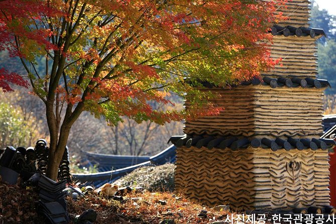 Scenic Jiri Mountain Autumn Foliage One Day Tour from Busan - Who will enjoy this day most